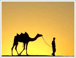 Rajasthan Desert Tours