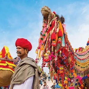 Colorful Rajasthan
