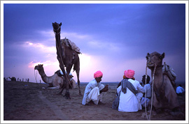 Rajasthan Destination