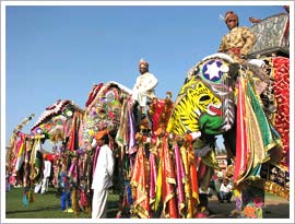 Elephant Festival, Jaipur