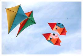 Kite Festival, Jaipur