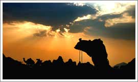 Pushkar Fair Tour