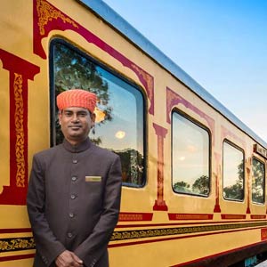 Palace on Wheels Tour